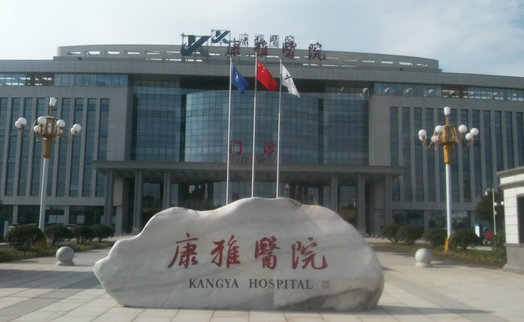 Hunan Yiyang Kang Ya hospital